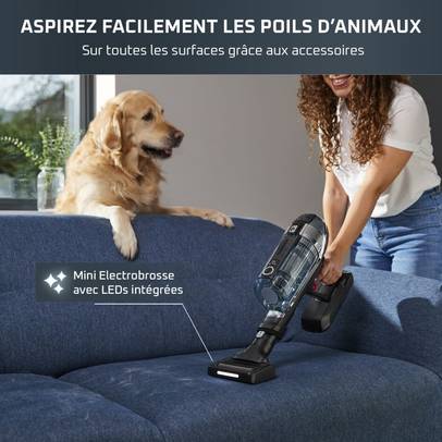 X-Force Flex 14.60, Aspirateur balai sans fil, 200 AW, 70 min, Animal