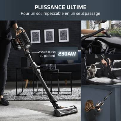 X-Force Flex 15.60, Aspirateur balai sans fil, 230 AW, 80 min, Animal
