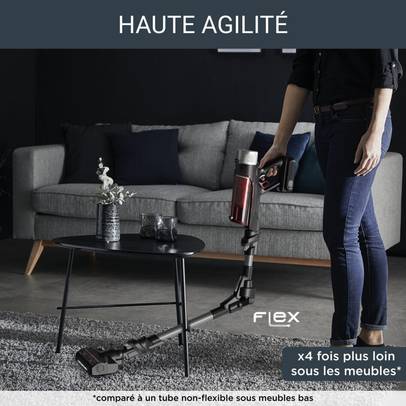 X-Force Flex 9.60, Aspirateur balai sans fil, 100 AW, 45 min, Animal